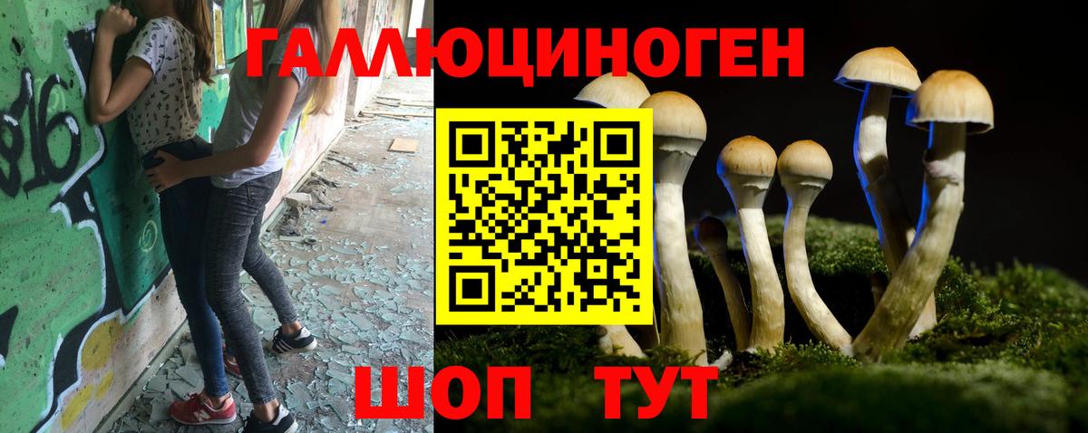Псилоцибиновые грибы прущие грибы  Галлюциногенные грибы мухоморы  Унеча  Вход с VPN 